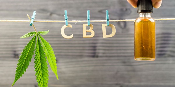 All You Should Know About Cbd Oil